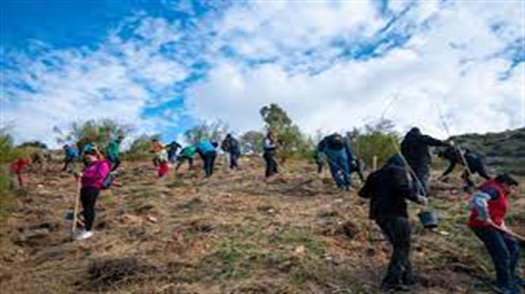 Με κεντρικό σύνθημα “Δίνουμε ζωή στο βουνό μας” ξεκίνησε ένας νέος κύκλος αναδασώσεων στον Υμηττό μας.